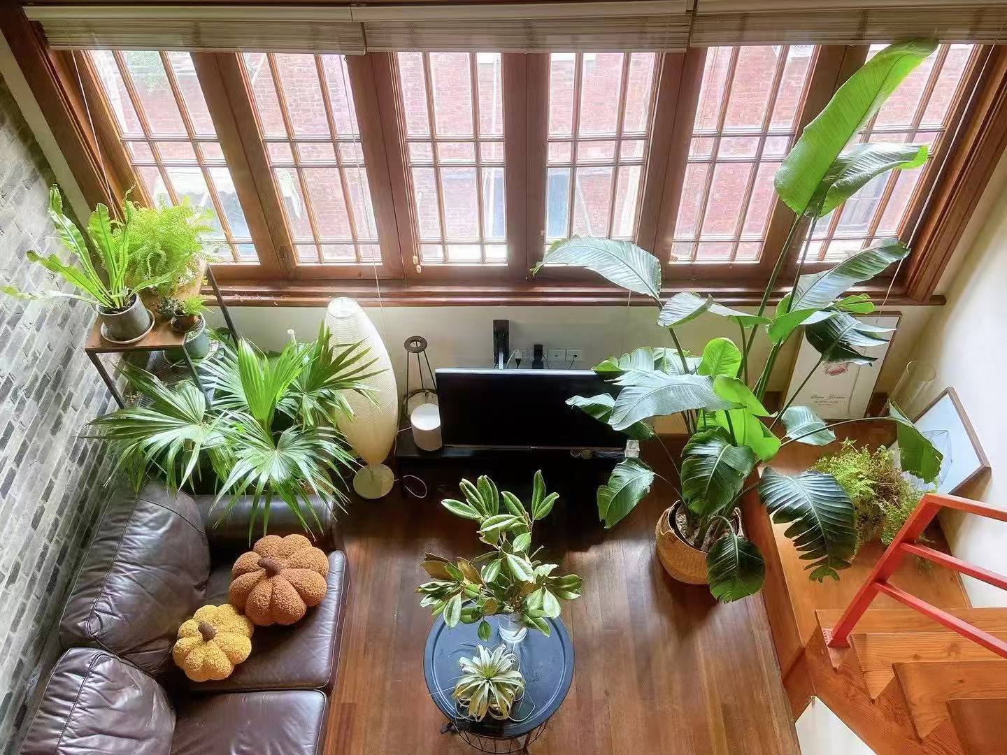 黄浦区 明德里 1BR Shanghai Rental | ExpatHome