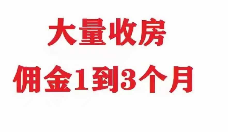 Shanghai 上海 2BR Shanghai Rental | ExpatHome