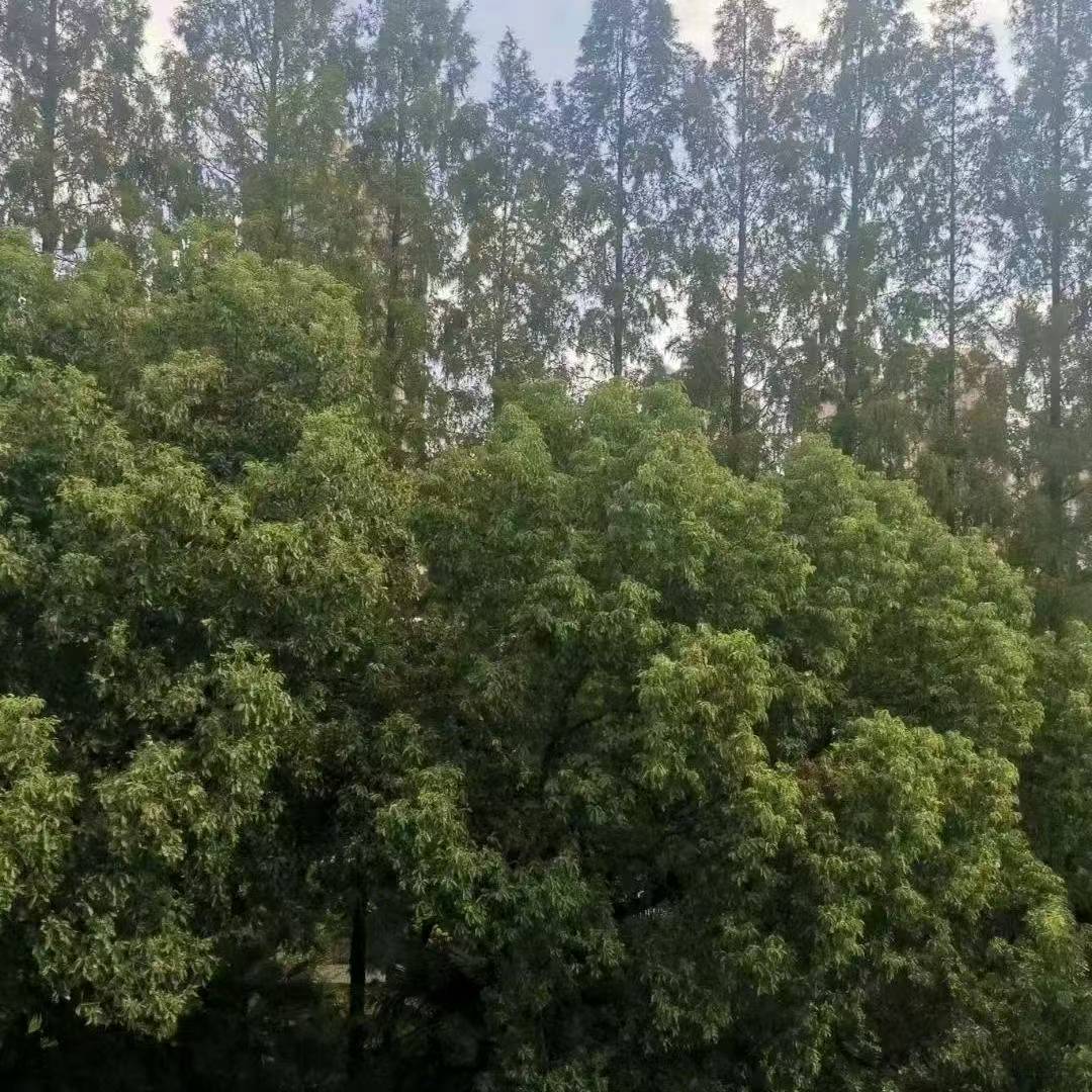 静安区 上海 2BR Shanghai Rental | ExpatHome