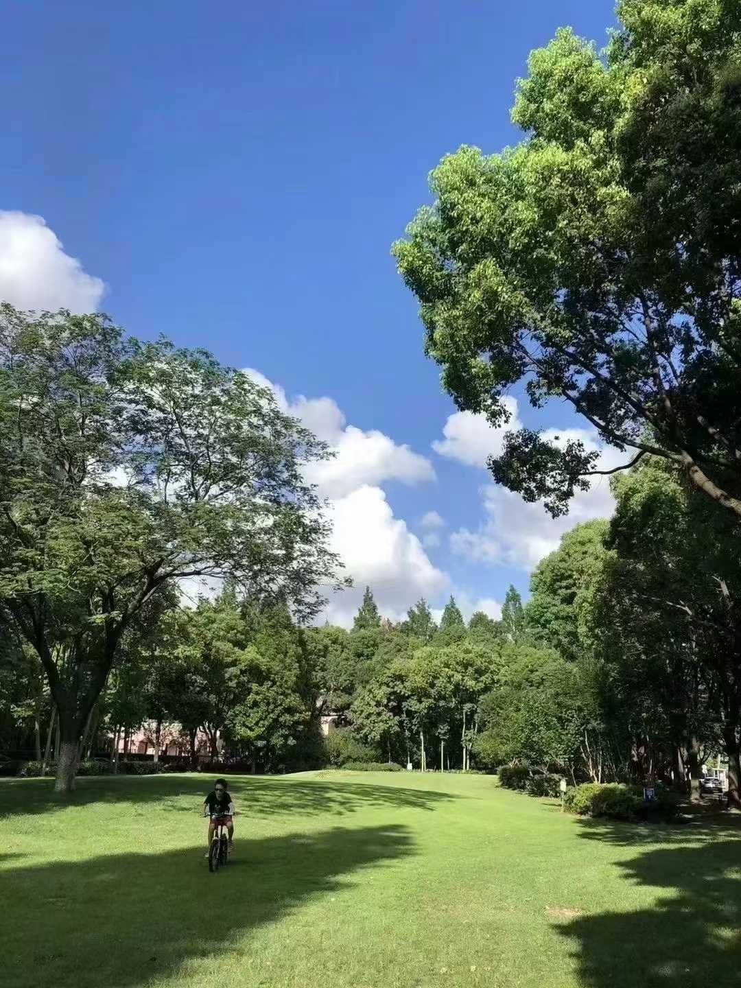 闵行区 名都城 1BR Shanghai Rental | ExpatHome
