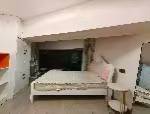 宝山区 鲁迅公园 1BR Shanghai Rental | ExpatHome