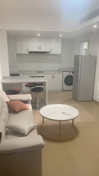 静安区 苏河湾 1BR Shanghai Rental | ExpatHome