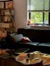 静安区 嘉发大厦 2BR Shanghai Rental | ExpatHome