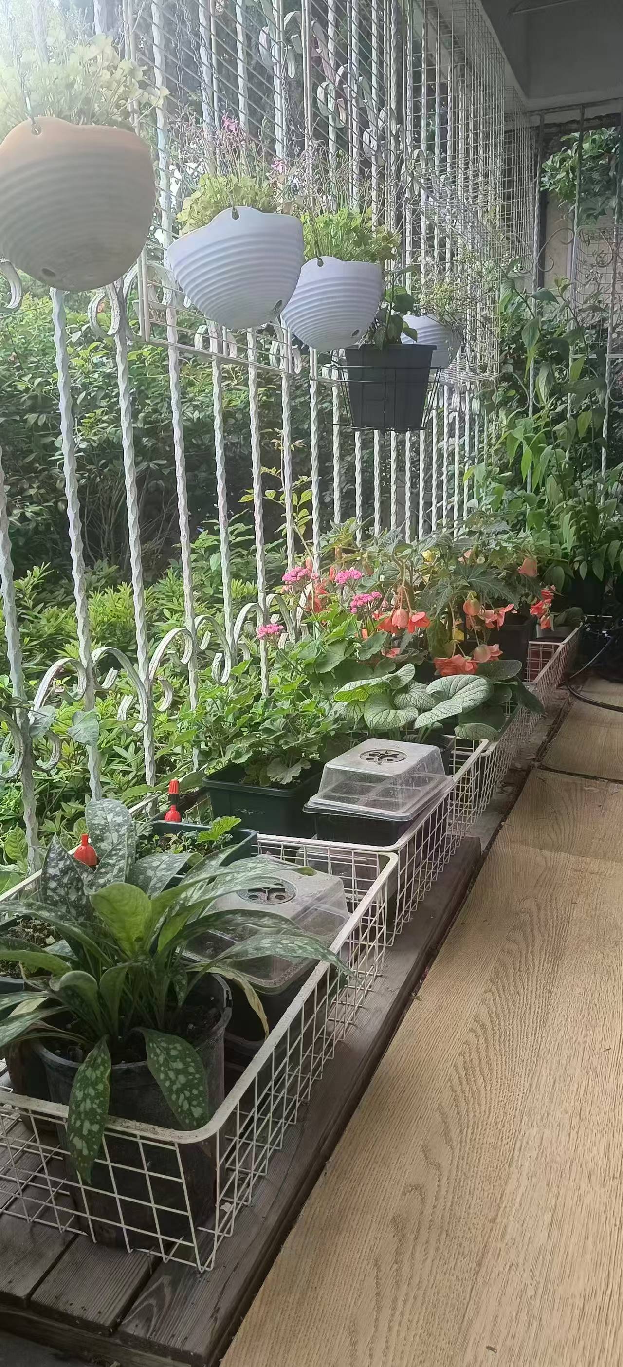 徐汇区 宛平路6弄 1BR Shanghai Rental | ExpatHome