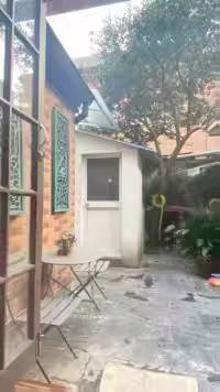 静安区 愚园路608弄 1BR Shanghai Rental | ExpatHome