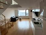 浦东新区 陆家嘴金融街区 1BR Shanghai Rental | ExpatHome