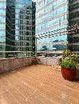 黄浦区 国际广场 3BR Shanghai Rental | ExpatHome