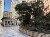 静安区 四季公寓 1BR Shanghai Rental | ExpatHome