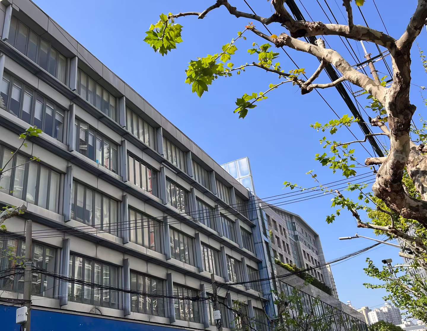Shanghai 上海 1BR Shanghai Rental | ExpatHome
